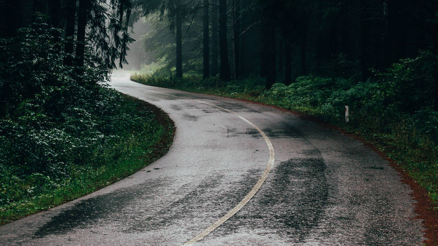 Rain Nature Road Wallpaper