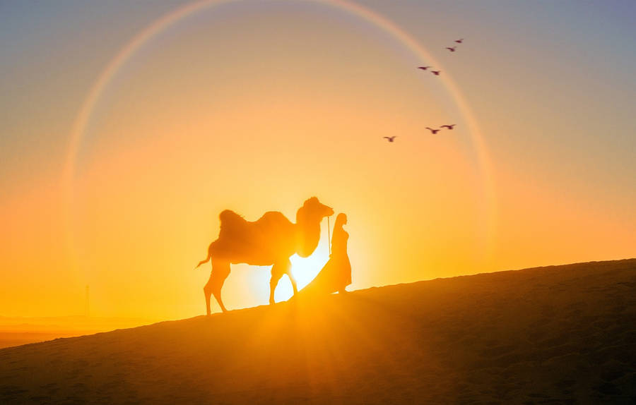 Rainbow Around Desert Sun Wallpaper