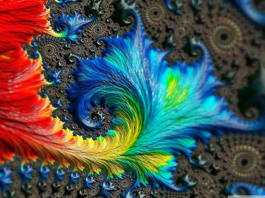 Rainbow Fishtail Fractal Pattern Wallpaper