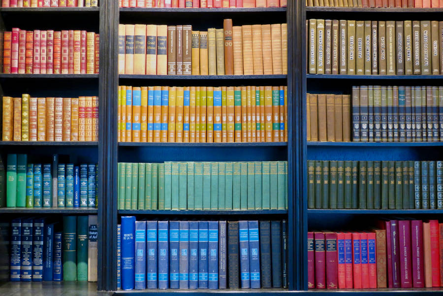 Rainbow Library Shelf Wallpaper