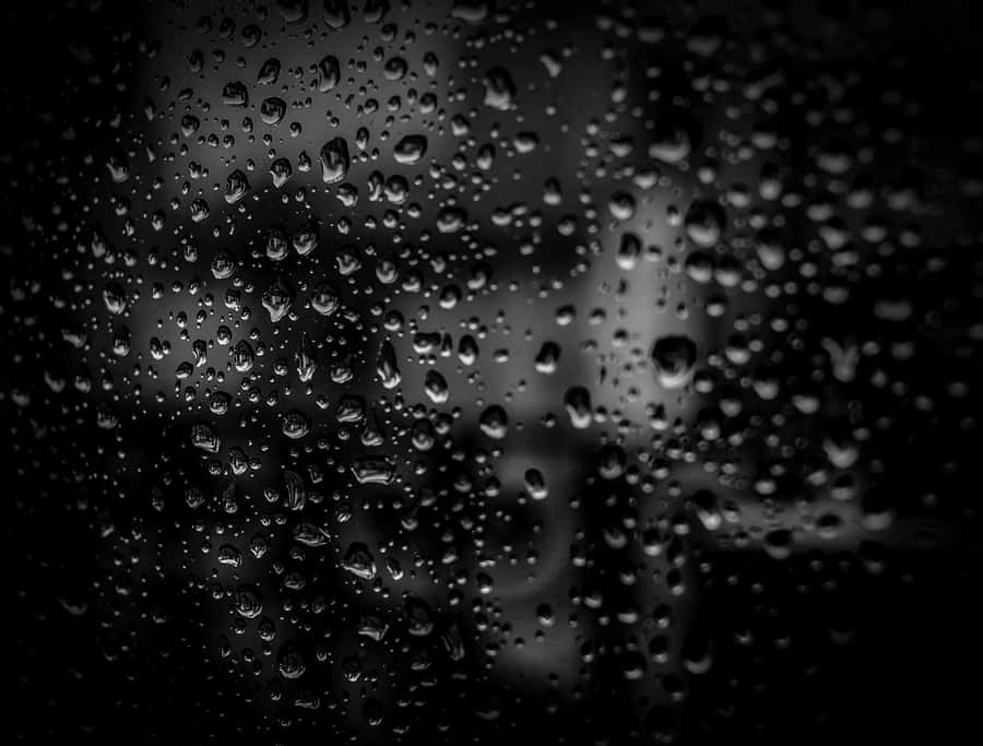 Raindropson Glass Blackand White Wallpaper