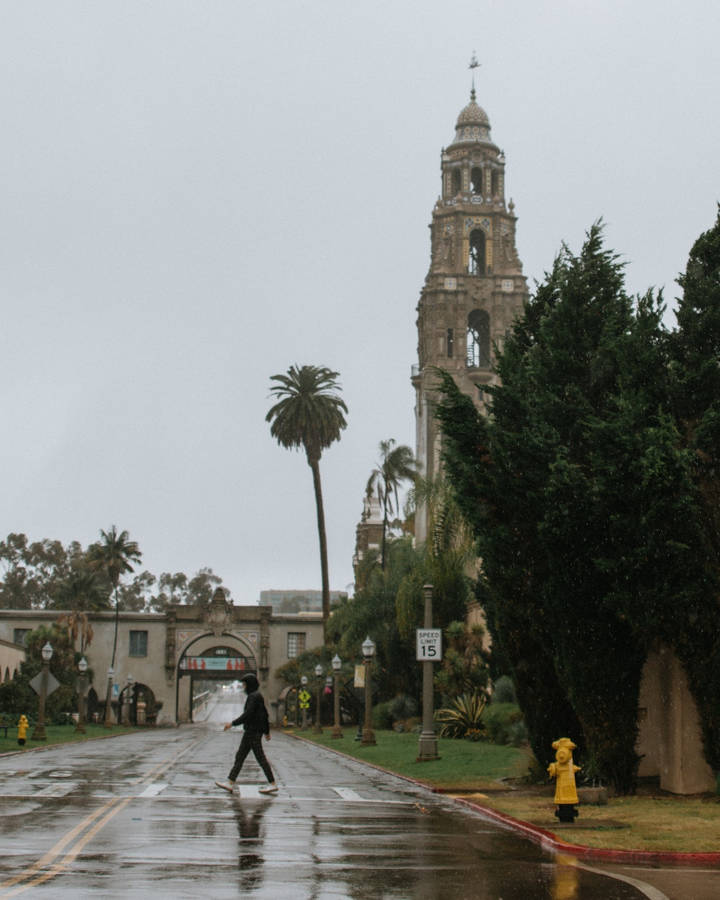 Rainy Day At Balboa Park Wallpaper