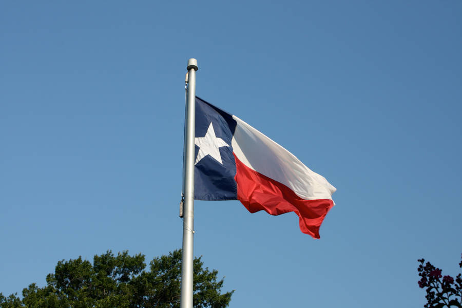 Raised Texas Flag Wallpaper