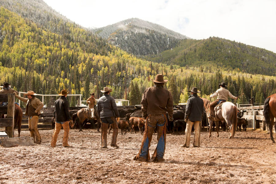 Rancher Gazes At The Captivating Landscape Of Yellowstone Wallpaper