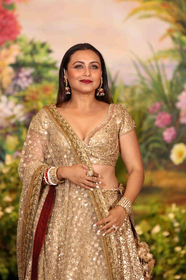 Rani Mukerji In Gold Saree Wallpaper