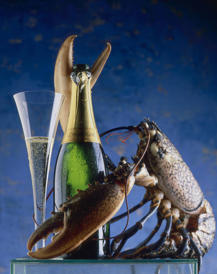 Rare Calico Lobster With Champagne Wallpaper