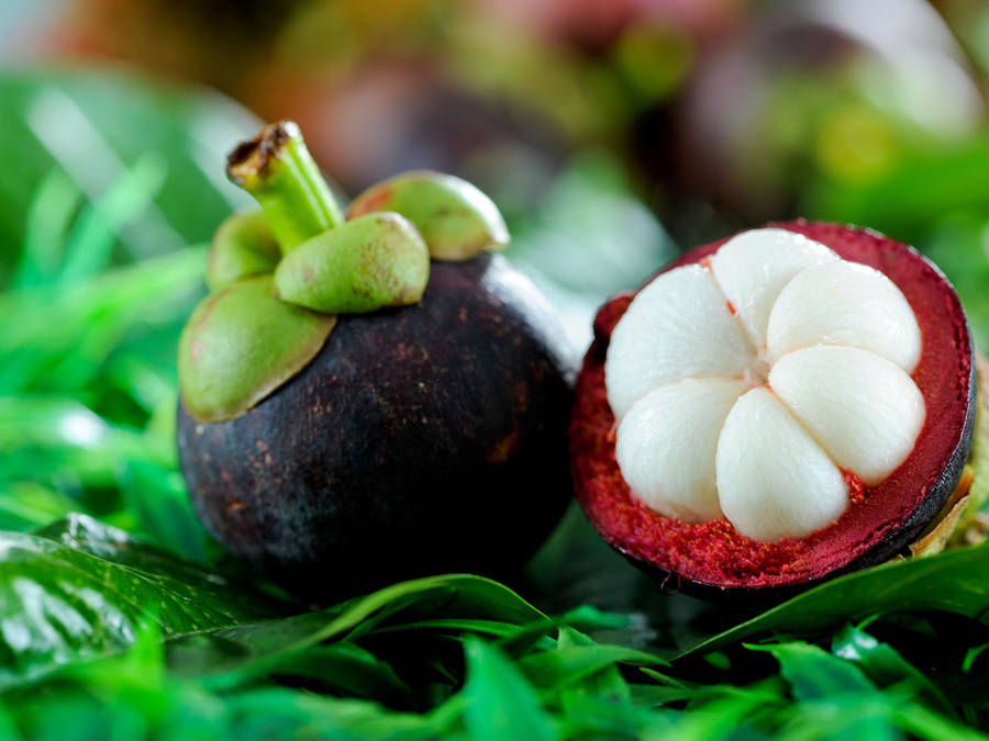 Rare Purple Mangosteen Fruit Wallpaper