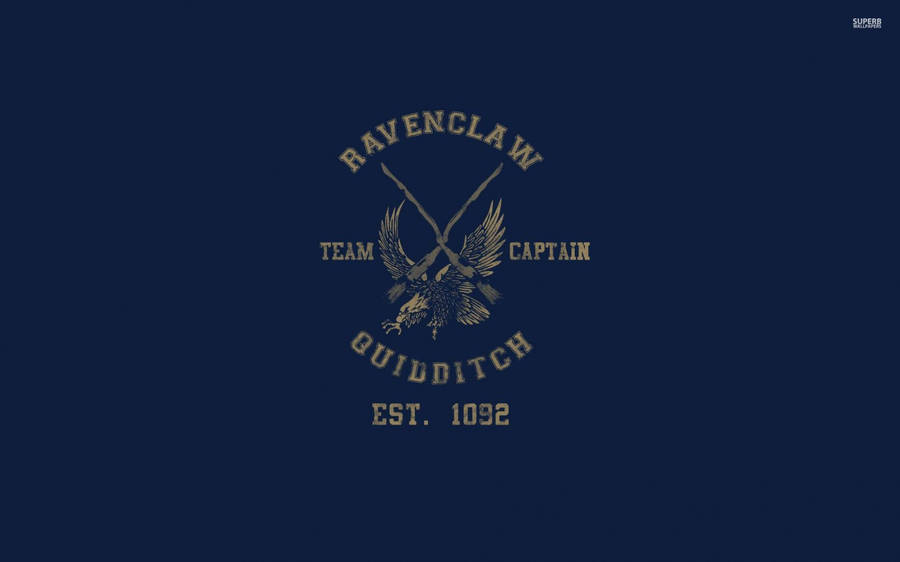 Ravenclaw Quidditch Harry Potter Ipad Wallpaper