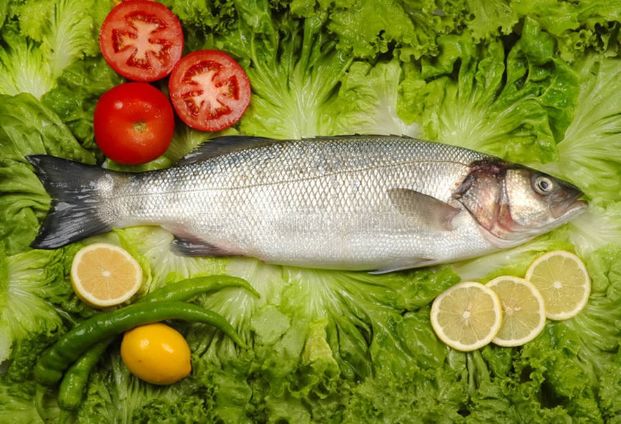 Raw Gray Mullet On Top Of Lettuce Wallpaper