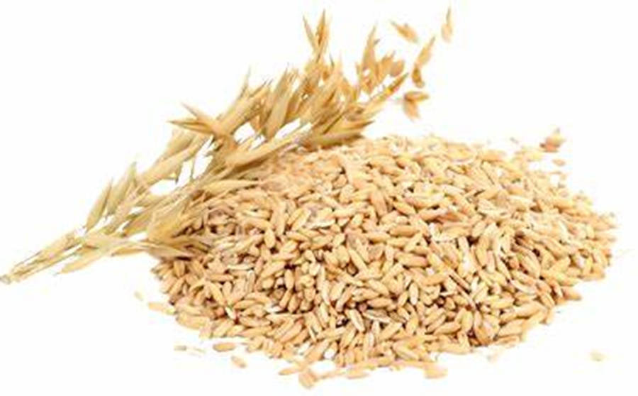 Raw Oats For Oatmeal Wallpaper