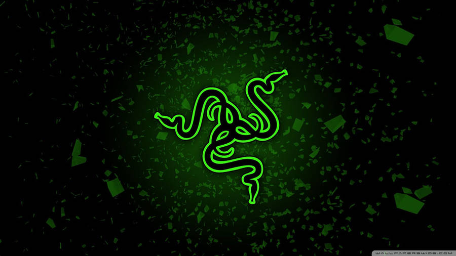 Razer Chroma Green Wallpaper