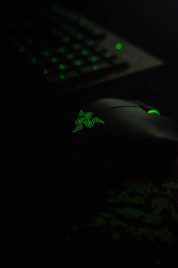 Razer Mouse & Keyboard Wallpaper