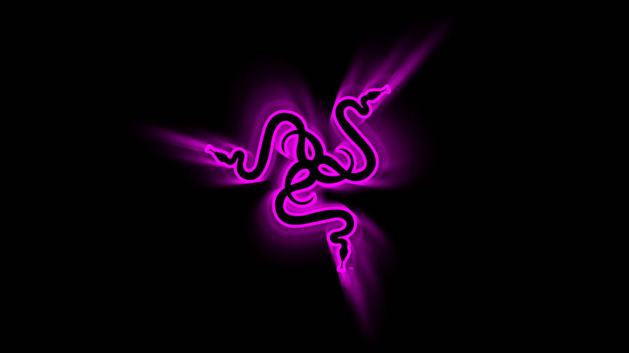 Razer Violet Chroma Wallpaper