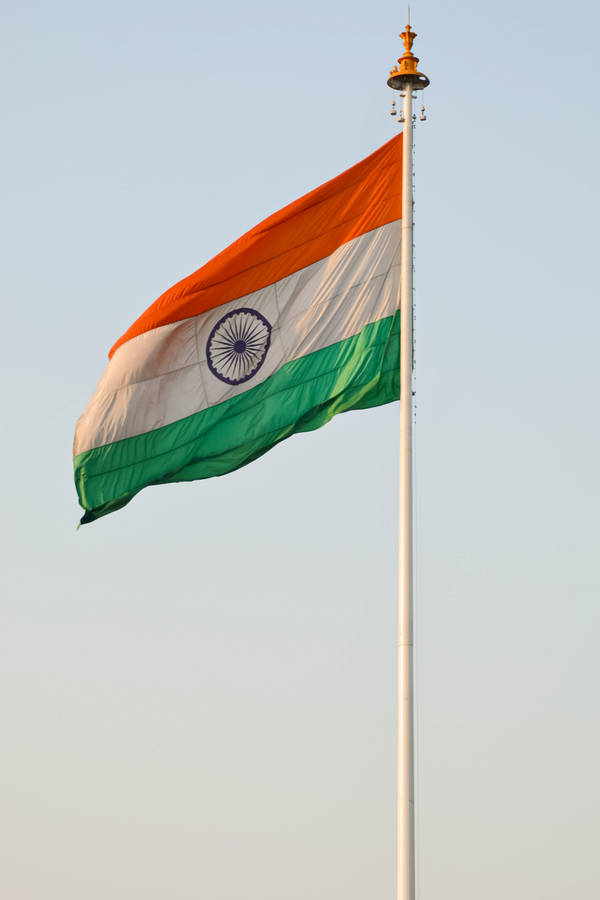 Real Indian Flag Hd In A Pole Wallpaper