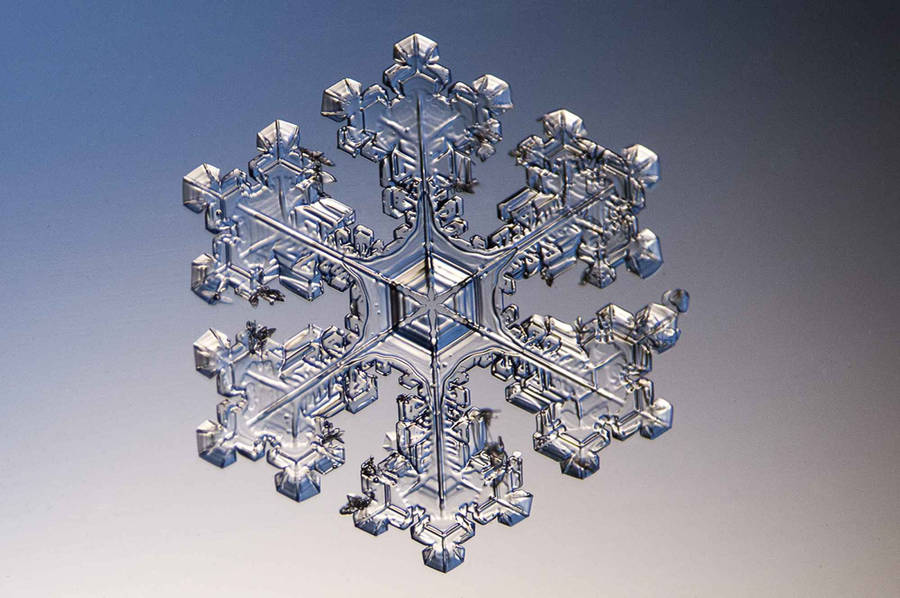 Realistic Snowflake Wallpaper