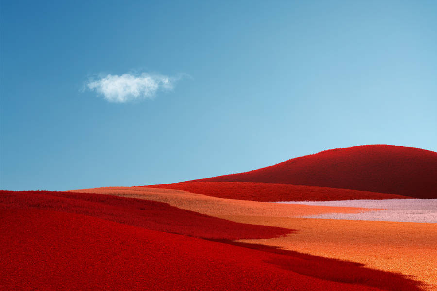 Red And Orange Hillside Wallpaper