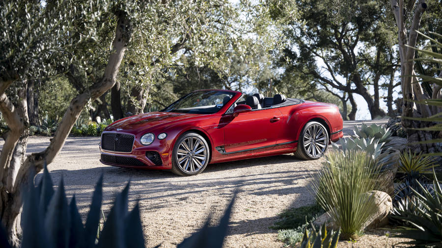 Red Convertible Bentley 4k Laptop Car Wallpaper