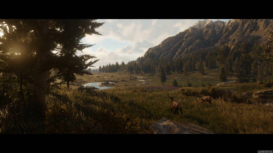 Red Dead Redemption 2 4k Field Wallpaper