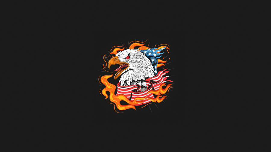 Red-eyed Us Eagle Wallpaper