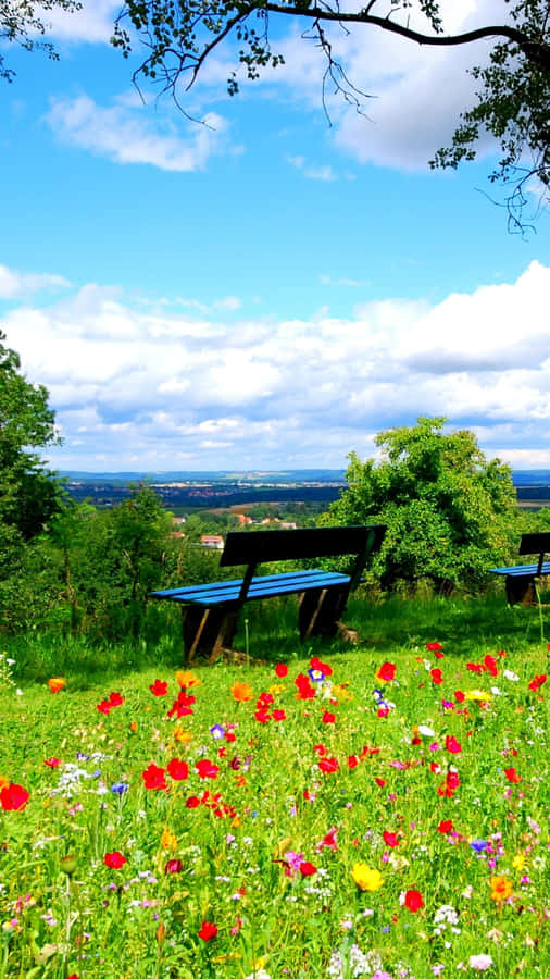 Red Flowers Nature Green Field Wallpaper