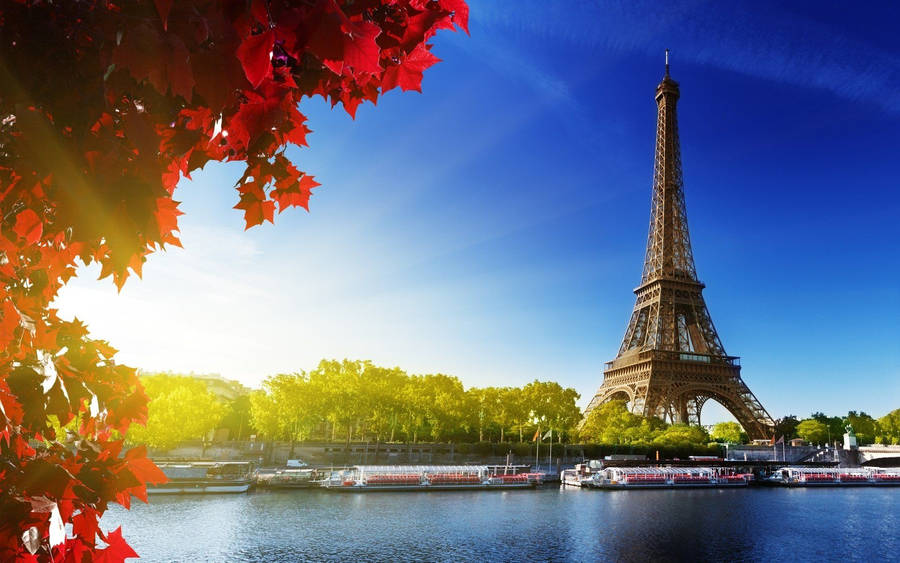 Red Flowers With Iconic Tower Outlook Wallpaper