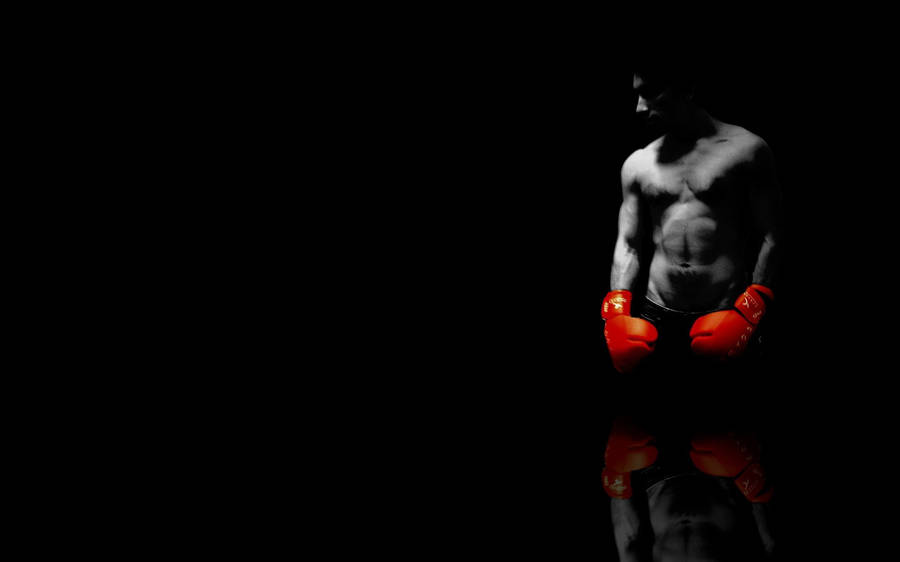 Red Gloves Boxing Highlight Photo Wallpaper