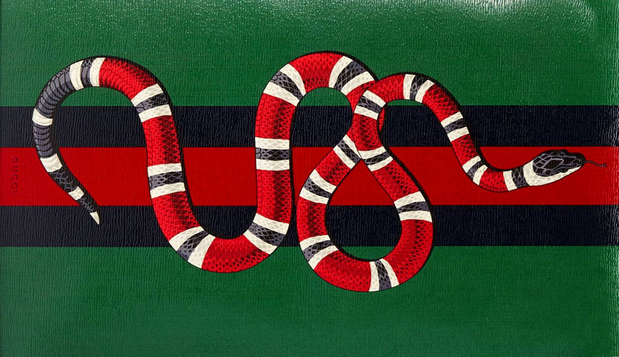 Red Gucci King Snake Wallpaper