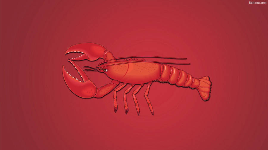 Red Lobster Illustration Wallpaper