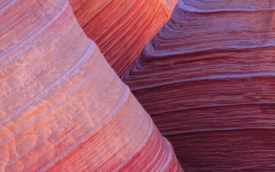 Red Rock Sandstone Close-up Wallpaper