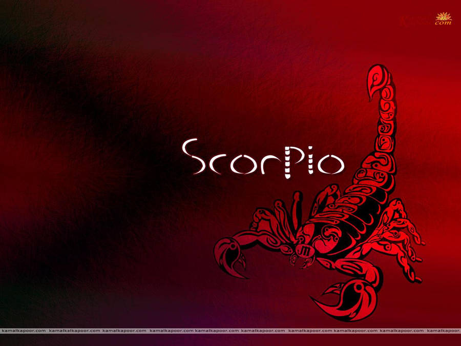 Red Scorpio And Scorpion Wallpaper