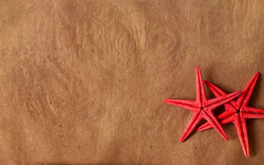 Red Starfish On Sand Wallpaper