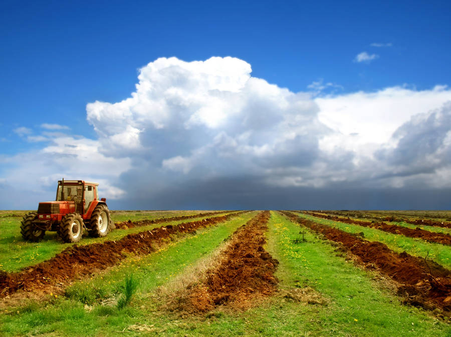 Red Tractor On The Field Wallpaper