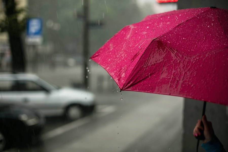 Red Umbrella Full Screen Desktop Wallpaper