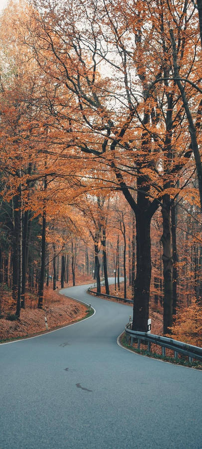 Redmi Note 10 Winding Autumn Road Wallpaper