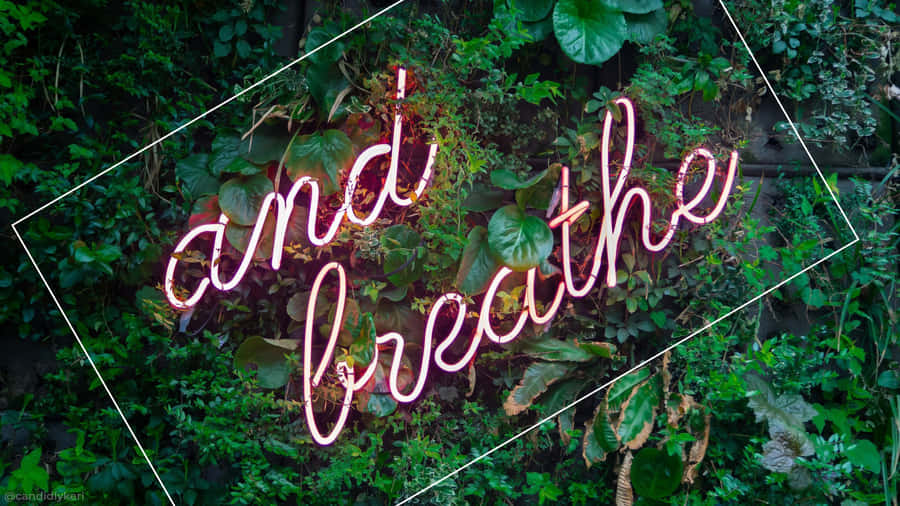 Refresh Your Desktop With A Green Aesthetic! Wallpaper