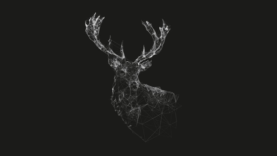 Reindeer Graphic Art Background Black Wallpaper