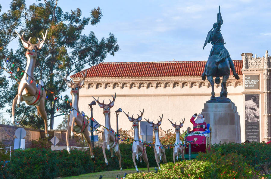 Reindeers At Balboa Park Wallpaper