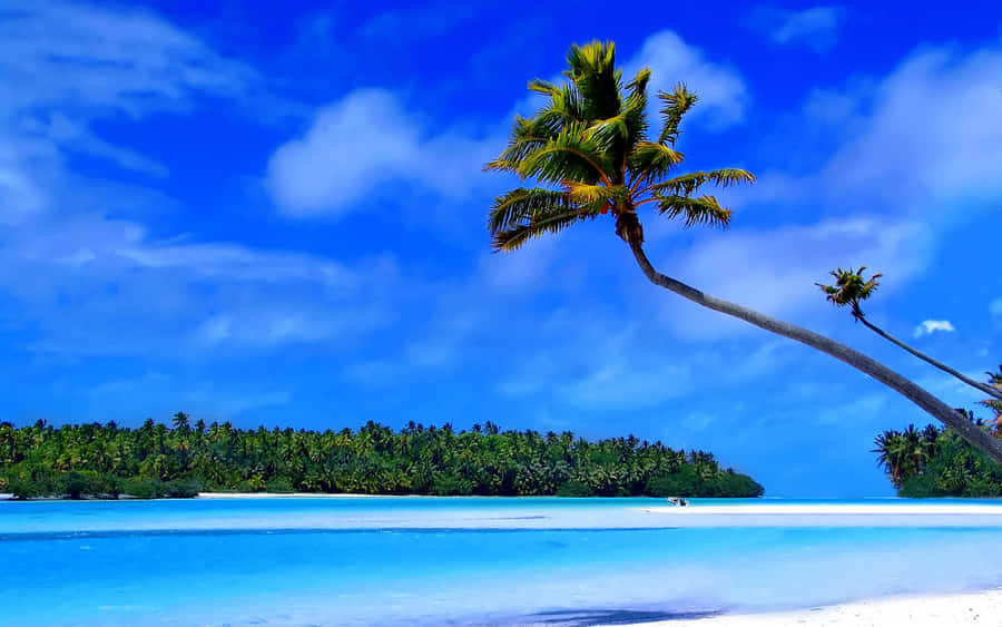 Rejuvenate Amidst The Calming Sights Of A Caribbean Beach. Wallpaper