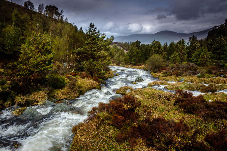 Relax And Unwind In The Spectacular Landscape Of Scotland Wallpaper