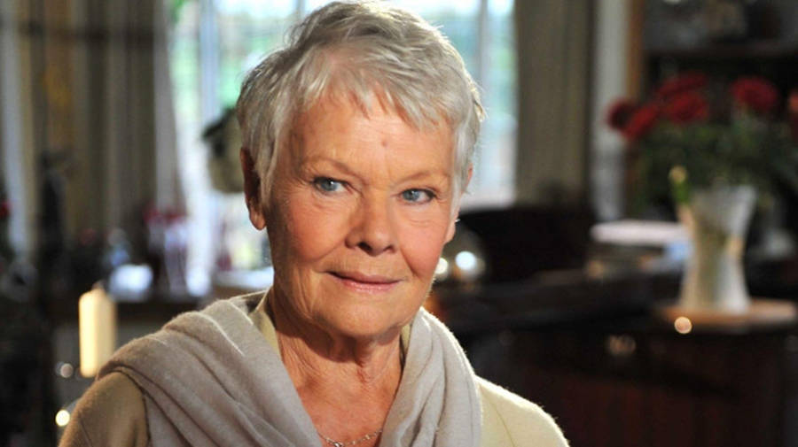 Renowned Actress Judi Dench At Home Relishing A Moment Of Tranquility Wallpaper