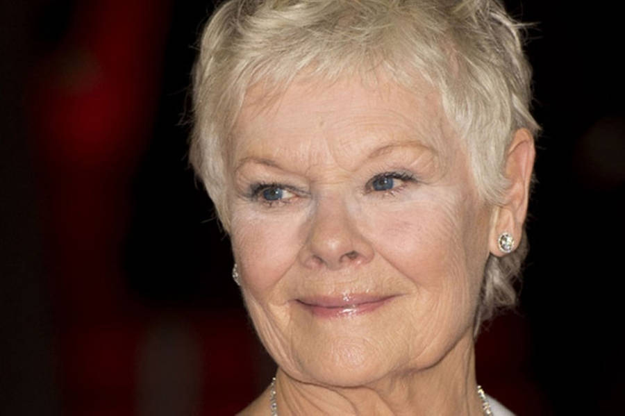 Renowned Award-winning Actress Judi Dench Wallpaper