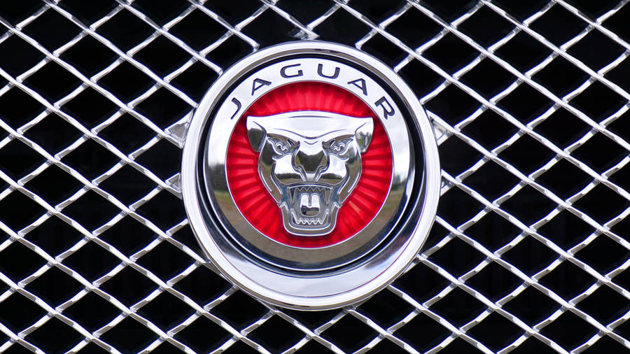 Representing Strength And Luxury - Jaguar Car's Head Symbol Logo Wallpaper