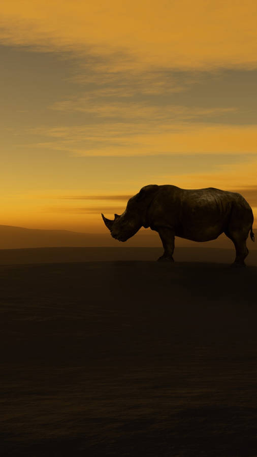 Rhinoceros In Sundown Wallpaper
