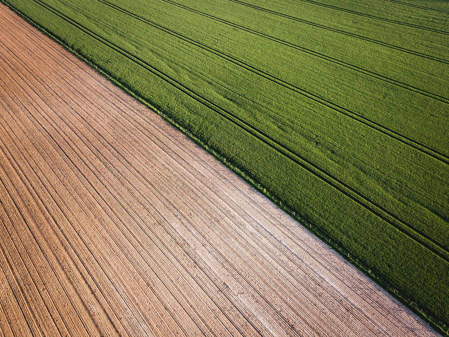 Rice Field Farm Perfect Shot Wallpaper