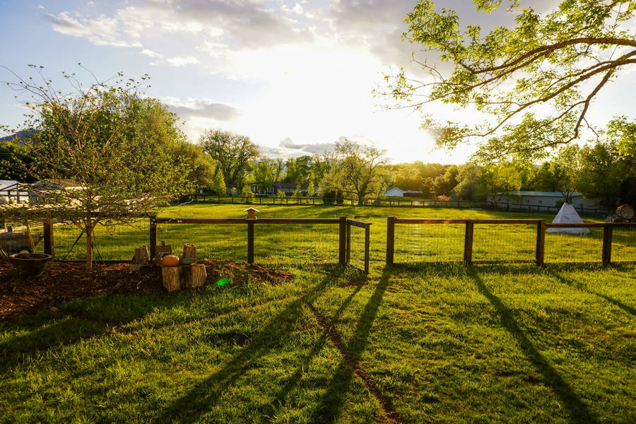 Ridge Otago Farm With Open Fence Wallpaper