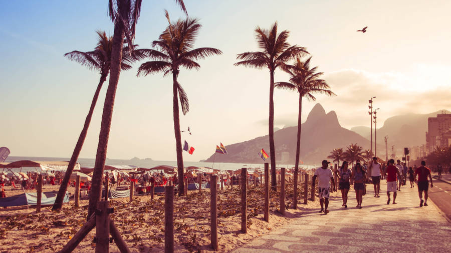 Rio De Janeiro Beach Palm Trees Wallpaper