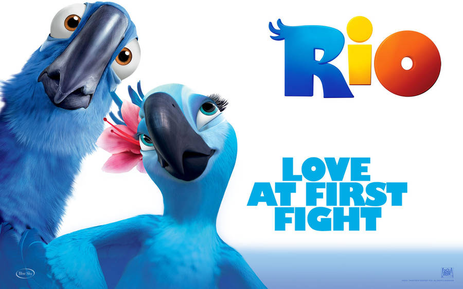 Rio Love At First Fight Wallpaper