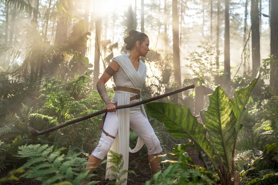 Rise Of Skywalker Rey At Forest Wallpaper