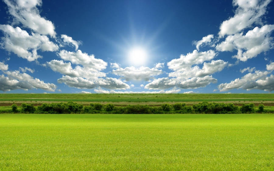 Rising Sun On Green Field Wallpaper