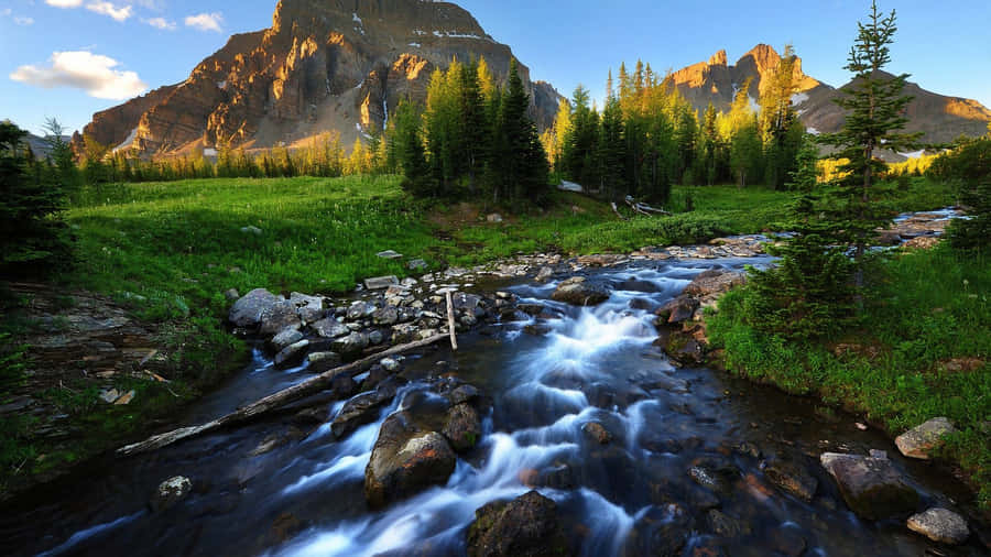 River Green Meadows Nature Photography Wallpaper